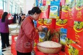 Busca sector arrocero de Vietnam penetrar en 2016 en mercados de altos requisitos