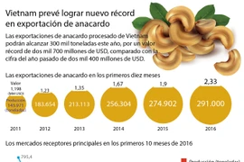 [Infografia] Vietnam prevé lograr nuevo récord en exportación de anacardo