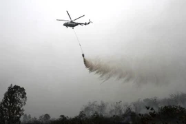 Indonesia: Humo de incendios forestales afecta actividades aéreas