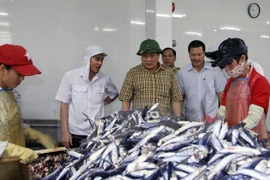 Quang Tri presta ayuda a afectados por muerte masiva de peces