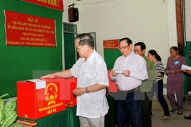 Publican varias provincias vietnamitas resultados preliminares de elecciones