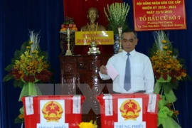 Otras seis provincias vietnamitas publican resultados de elecciones