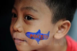 Familiares de víctimas chinas del MH370 demandan a Malaysia Airlines