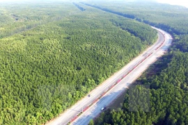 Existen más de 14 millones hectáreas de bosques en Vietnam