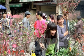 Los mercados de flores en Hanoi