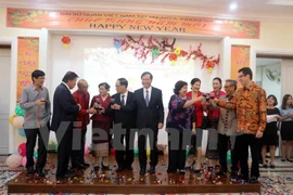 Vietnamitas en ultramar festejan por Año Nuevo Lunar