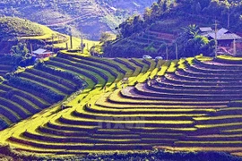 Región noroeste prepara para Año Nacional de Turismo