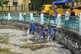 Exhortan a clarificar causa de muerte masiva de peces en lago de Hanoi