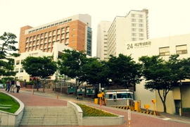 Dong Nai y universidad sudcoreana cooperan en formación de recursos humanos