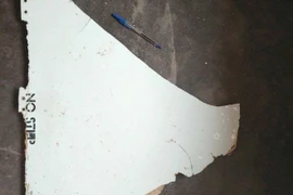 Restos de avión encontrado en Mozambique serán enviados a Australia