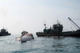 Indonesia hunde otros barcos extranjeros que faenan ilegalmente