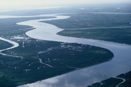 Asistencia financiera de Estados Unidos para proyectos científicos en Vietnam
