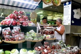Promueven frutas vietnamitas en República Checa