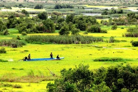 Parque Nacional U Minh Thuong, uno de los dos mil 228 sitios Ramsar del mundo