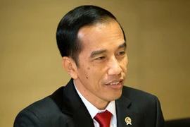Indonesia y Timor Leste robustecen cooperación
