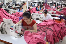Oportunidades y desafíos para exportadores de Vietnam a Unión Europea
