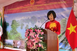 Diversas actividades en ultramar para conmemorar Fiesta Nacional de Vietnam