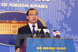 Acciones chinas en Hoang Sa infringen soberanía de Vietnam, dijo vocero de Canciller