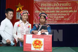 Elecciones parlamentarias vietnamitas: Aumenta número de autocandidaturas
