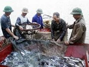 Economía de Hanoi muestra buenas señales