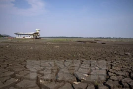 UE estudia ayudar a Vietnam en respuesta al cambio climático