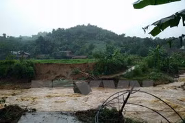 Tifón Dianmu dejó decenas de muertos y heridos en Vietnam