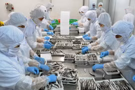 Honradas empresas vietnamitas con productos de alta calidad