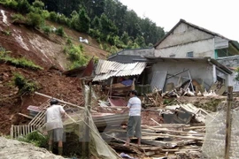 Al menos siete muertos por tifón Dianmu en Vietnam