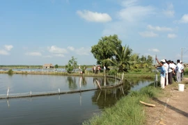 Refuerza Kien Giang cumplir meta anual de exportaciones