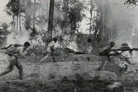 Rememoran en Vietnam victoria contra régimen genocida en Cambodia