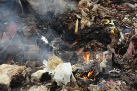 Responde Vietnam a campaña por un mundo más limpio