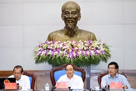 Analiza Gobierno vietnamita progreso de construcción institucional