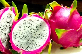 Reanuda Taiwán la importación de fruta de Vietnam