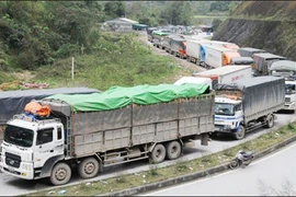Provincia vietnamita promoverá intercambio comercial con China