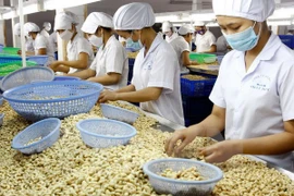 Vietnam se esfuerza por tener un millón de empresas en 2020