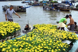 Seminario busca medidas para el desarrollo turístico del Delta de Mekong
