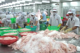 Exportadores de pescados de Vietnam enfrentan dificultades en lograr meta anual