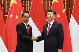 Indonesia y China aspiran fomentar cooperación económica