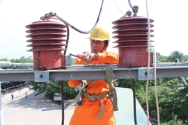 EVN SPC suministra electricidad a más 30 mil hogares en distritos isleños