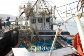 Sudcorea: Hallan cadáver de un marino vietnamita desparecido