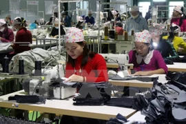 Empresas en Vietnam sólo disfrutan de 30 por ciento de beneficios de TLC