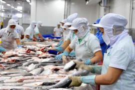 Aumenta exportación de pescado Tra vietnamita a Reino Unido