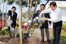 Presidente vietnamita llama a impulsar la plantación de árboles