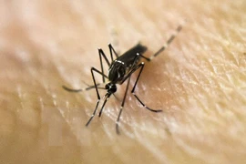 Singapur detecta primer caso del virus Zika transmitido localmente