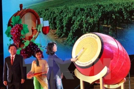 Efectúan en Vietnam Festival de Uvas y Vinos