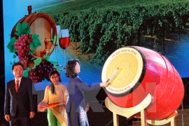 Efectúan en Vietnam Festival de Uvas y Vinos