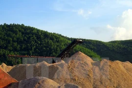 Fuerte caída de exportaciones de virutas de madera de Vietnam