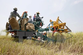 Tailandia emite apoyo financiero para los pobres