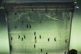 Malasia sospecha nuevo tipo de virus Zika