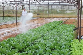 Japón ayuda al desarrollo rural en provincia norteña vietnamita